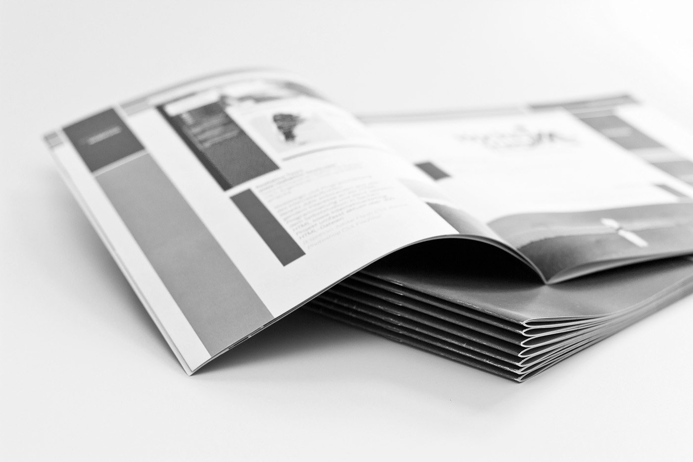 FlipbookSample